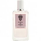 Camellia / Camellia Soliflor by Acqua di Stresa