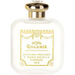 Cinquanta by Santa Maria Novella