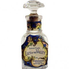 Lily of the Valley von Breidenbach & Co.