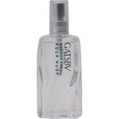 Shower Fresh - Aqua Musk / シャワーフレッシュ アクアムスク von Gatsby / ギャツビー