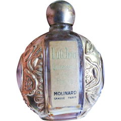Lutchou by Molinard