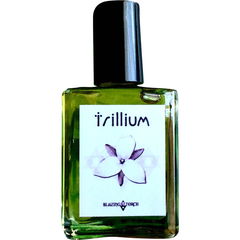 Trillium von Blazing Torch