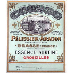 Essence Surfine Groseilles von Nogara / Péllisier-Aragon / Les Fontaines Parfumées