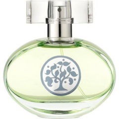 Tree of Life von Magnetix Wellness