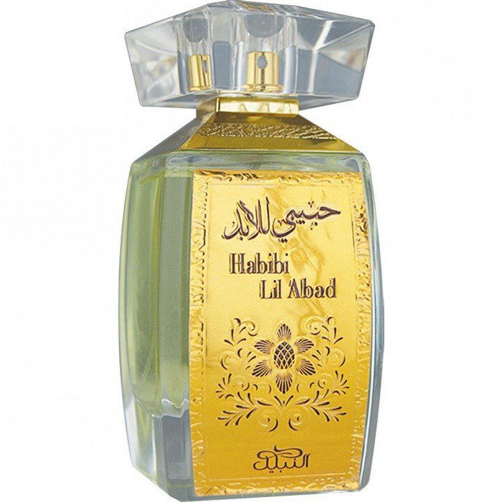 Habibi Lil Abad von Nabeel
