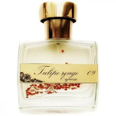 Tulipe Rouge 09 by Esquisse