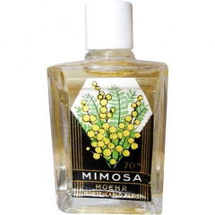 Mimosa von Moehr