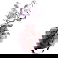 Air Libra by CnR Create