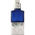 Voodoo Chile by Dries Van Noten