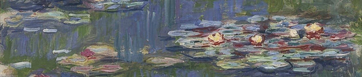 Impressionen aus dem Garten