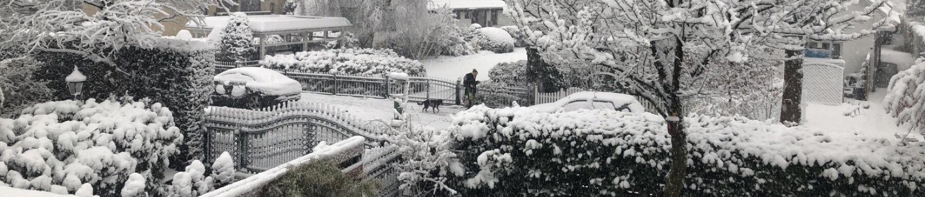 Winter