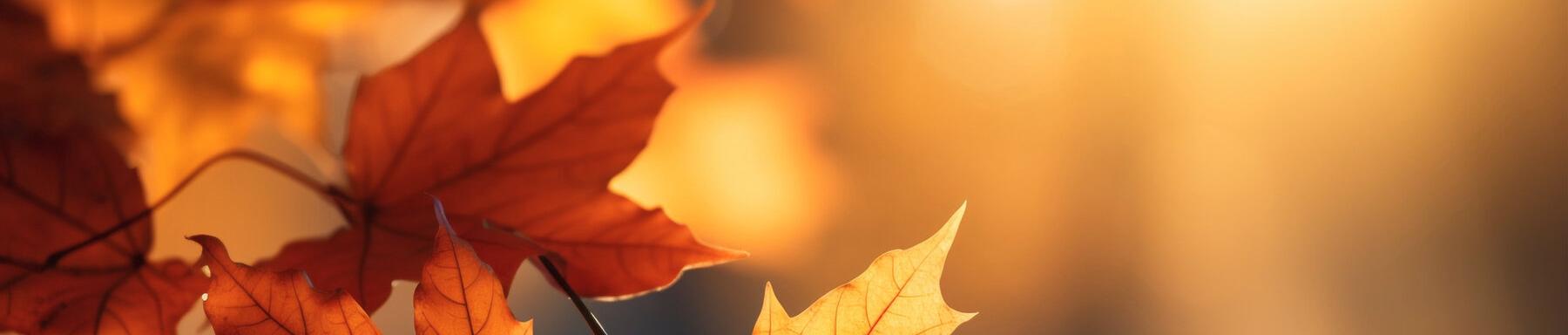 Herbstdüfte 🍂