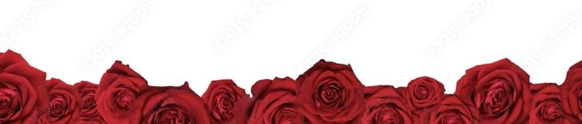 Rosen(oud)