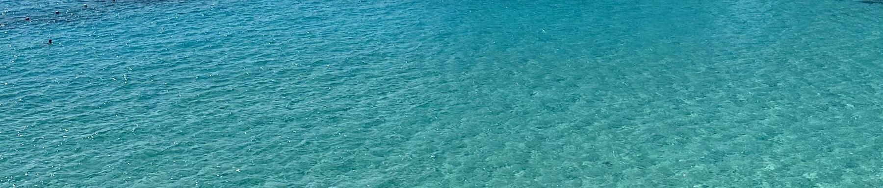 Für immer in meinem Herzen 