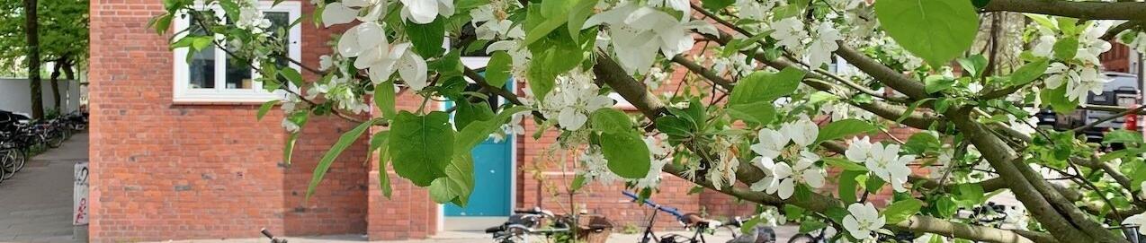 Frühling