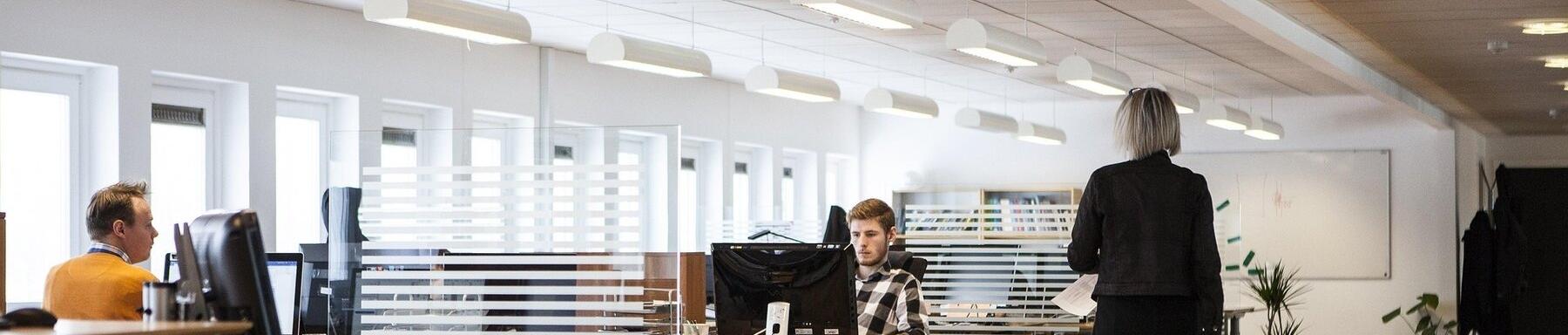 Office Kings