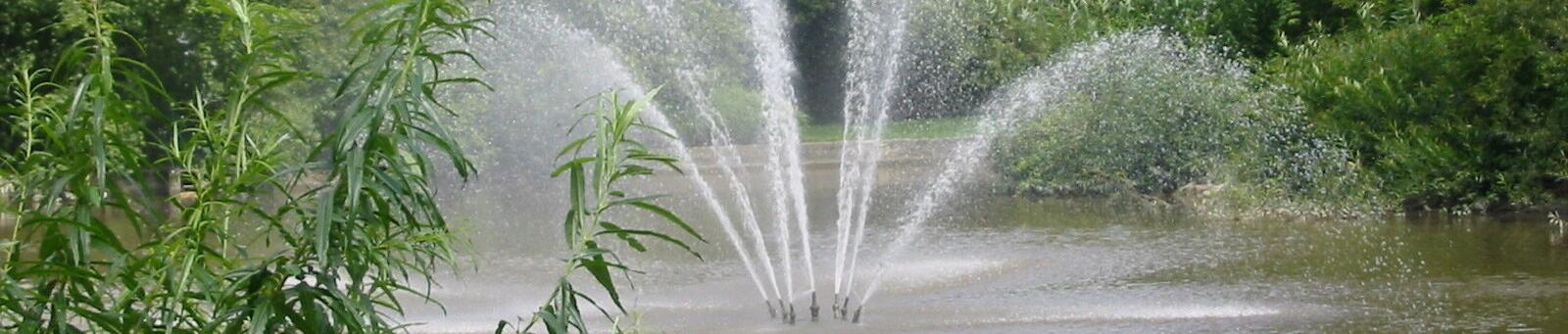 Frisches für die Handtasche