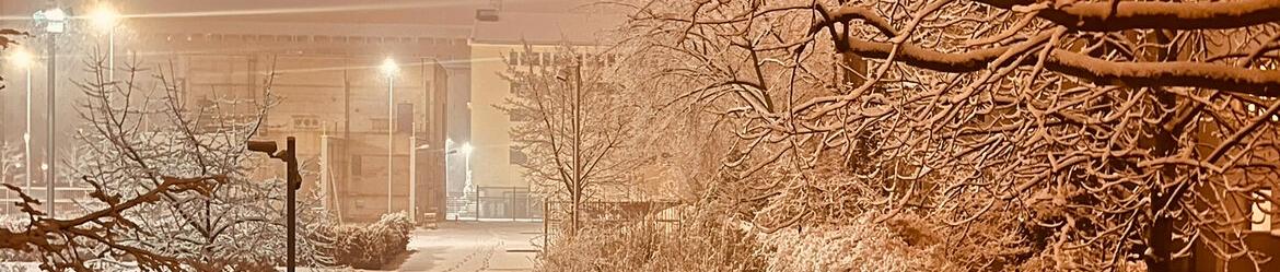 Gedanken an den Winter