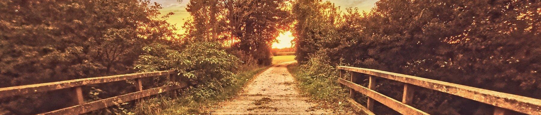 Heute trifft gestern 