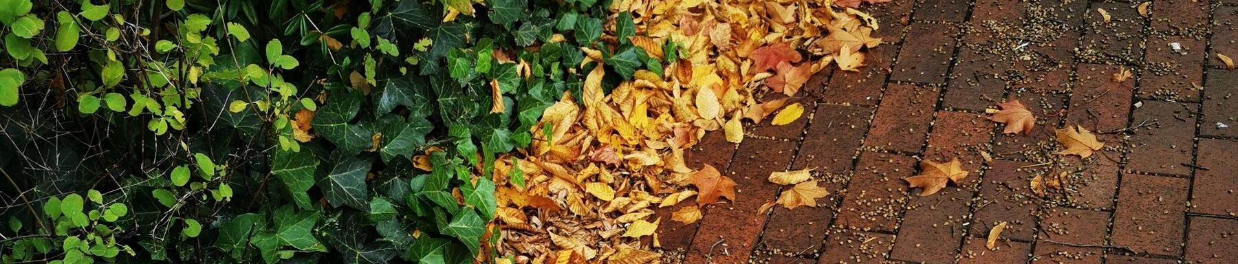 Herbst-Winter 2023