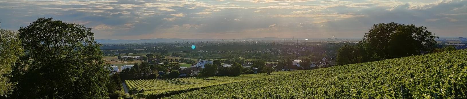 Frühjahrs und Sommerdüfte 