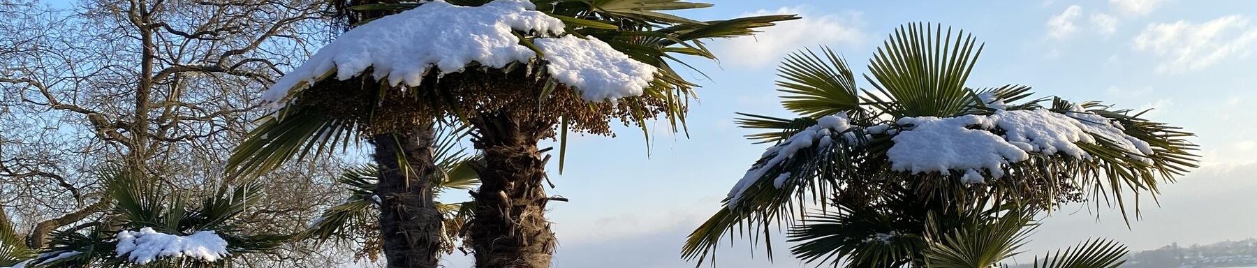 Winterlieblinge