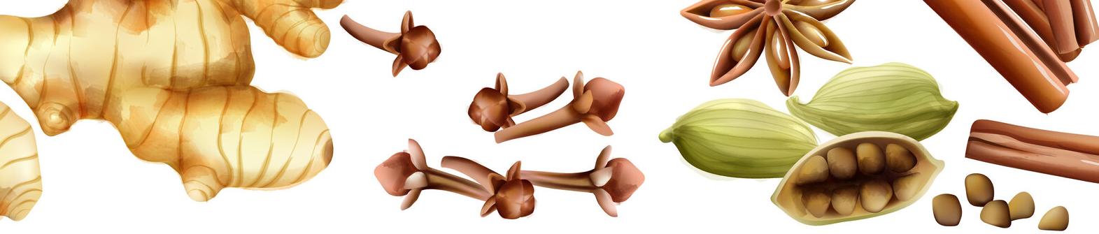 Gewürzregal und Kräutergarten