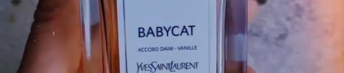 YSL La Vestiaire - Tier List