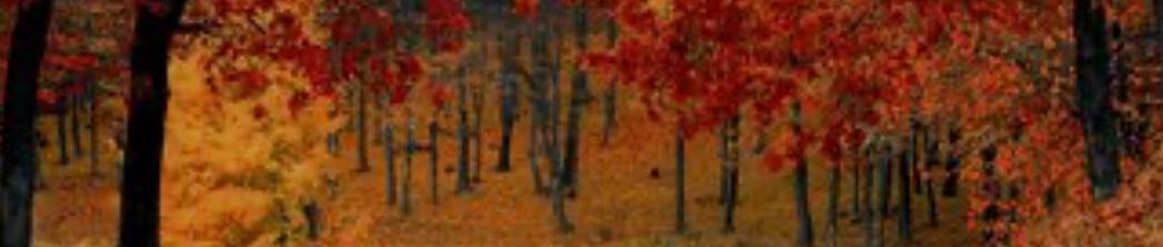 Herbstfavoriten