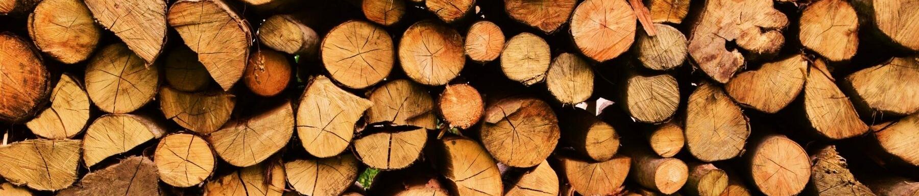 Holz
