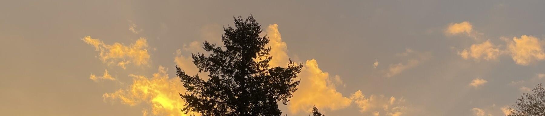 September bis Dezember