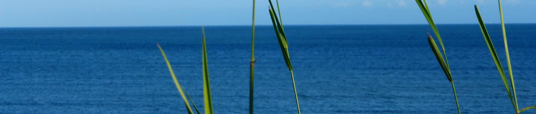 Meine 12 besten Freshies 