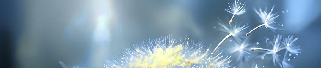 Elegant and delicate