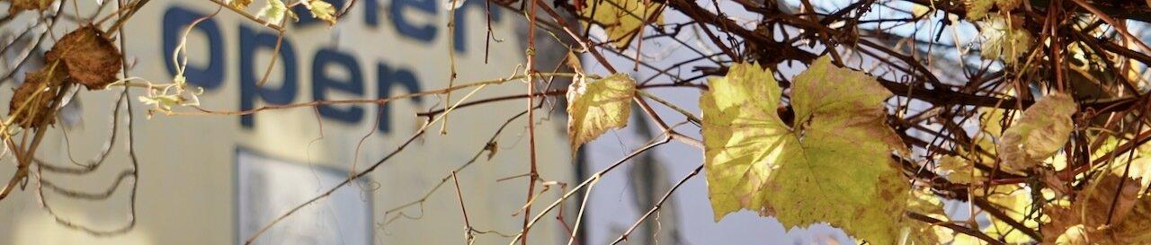 Herbst