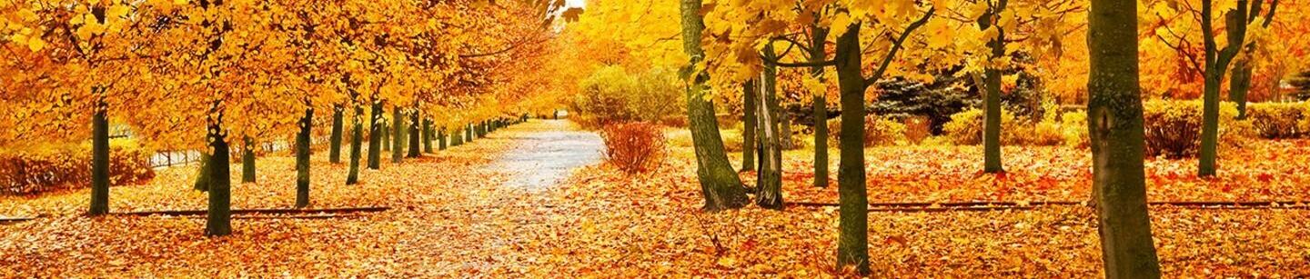 Herbst 🍂 
