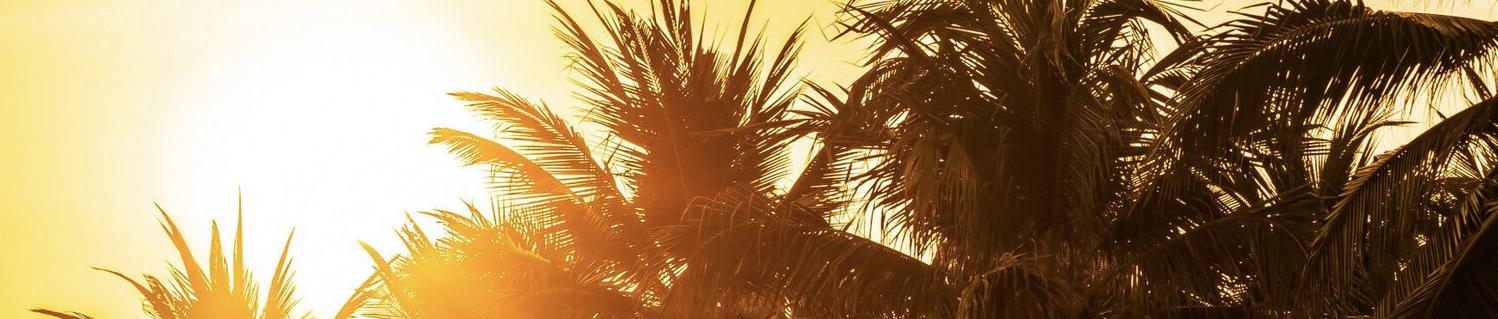 My all day Tops July 2025