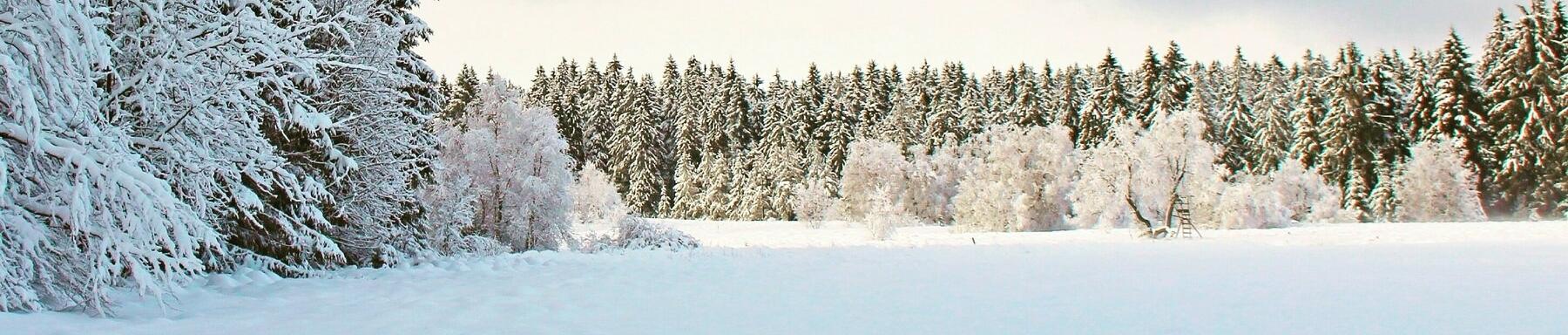Herbst, Winter, kalte Tage