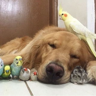 Wer ist hier auf wen ge...