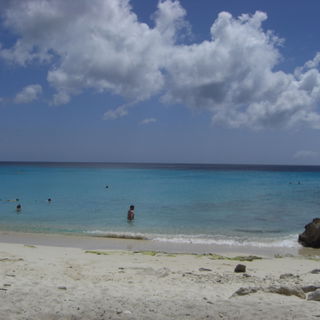 Grote Knip - die Badewa...