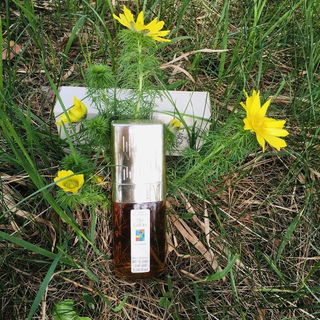 Eau de Caron im Adonisr...