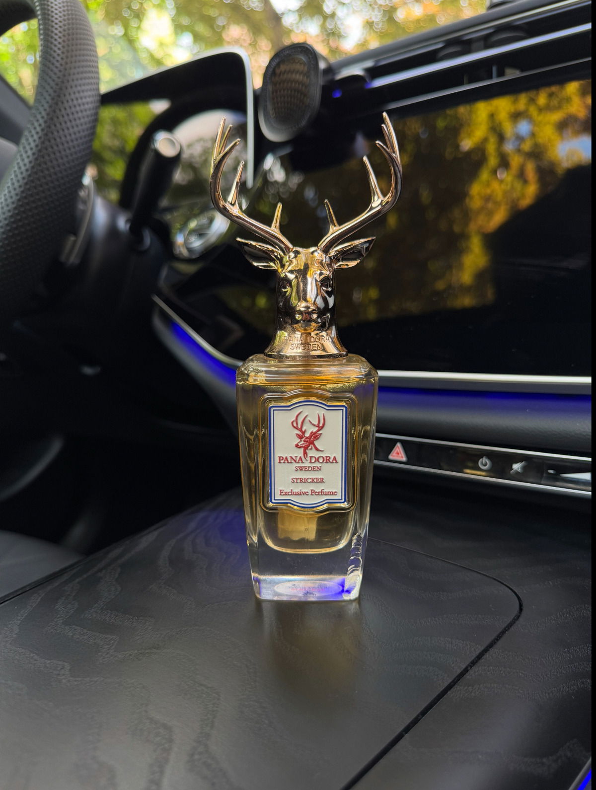 Stricker by Pana Dora