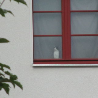 'Seltsam, die Welt da d...