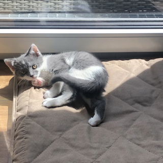 Hi!