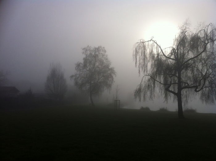 Am See 2 (Viviane)