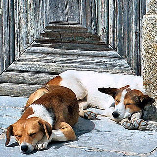 Die Tür im Hintergrund...