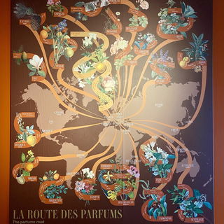 Fragonard Museum in Par...