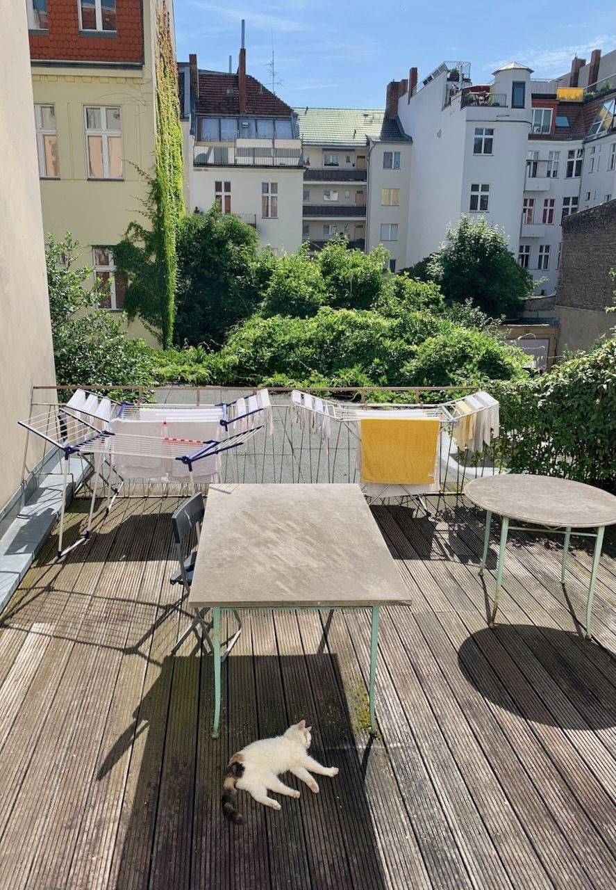 Die Miezen von Berlin