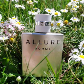 Frühling