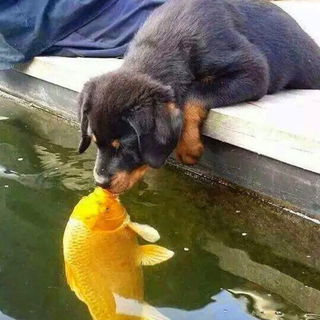 Blubb...wenn meine Frau...