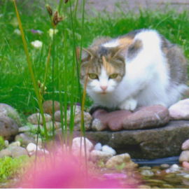 Was tut sich da?